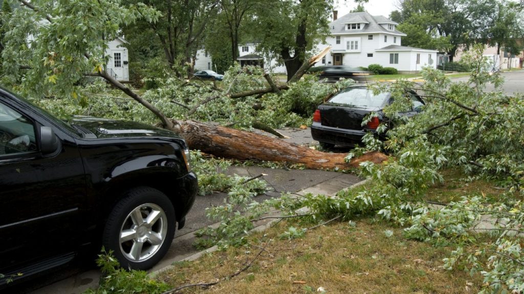 What To Do When A Storm Damages Your Car