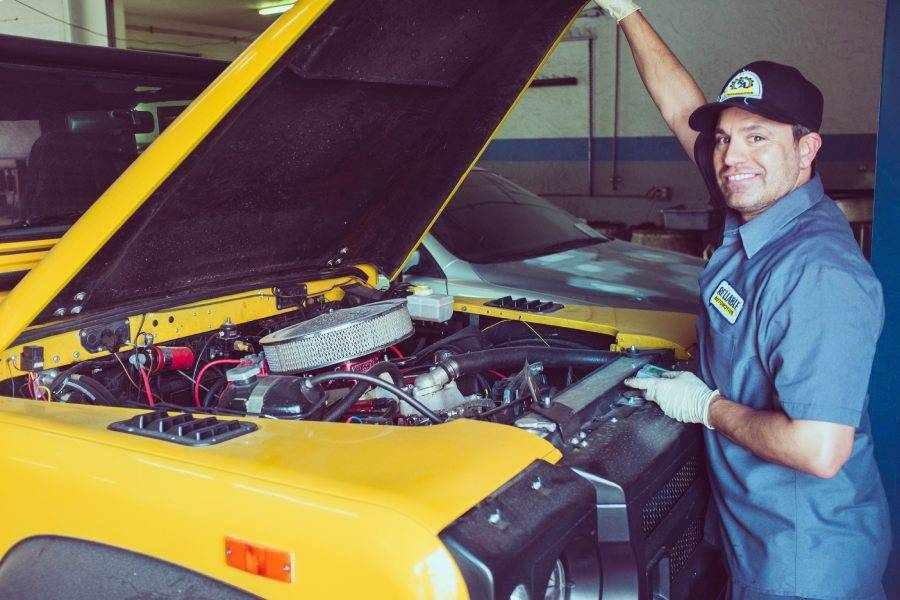 How Tree Sap Can Damage Your Car Roof